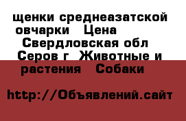 щенки среднеазатской овчарки › Цена ­ 5 000 - Свердловская обл., Серов г. Животные и растения » Собаки   